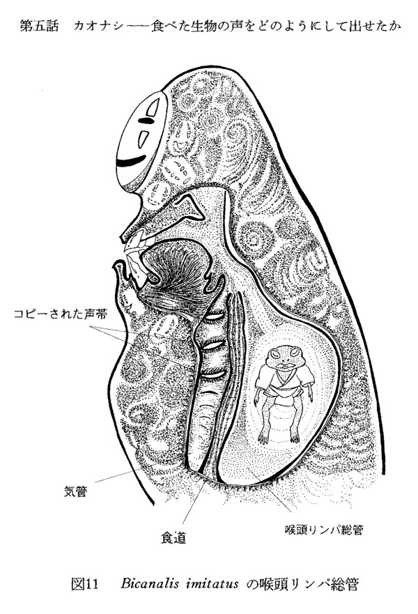 図2-2 武村政春『ろくろ首の首はなぜ伸びるのか』(新潮新書、2005年)より引用