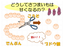 会場の画像