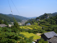 棚田の風景