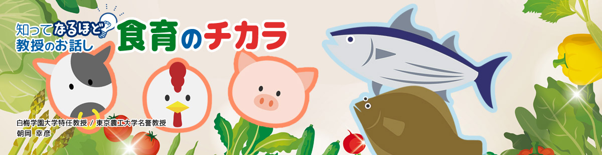 食育のチカラ