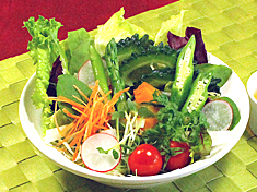 15品目の野菜たっぷりサラダ～スパイシードレッシング～