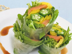 夏野菜の生春巻き