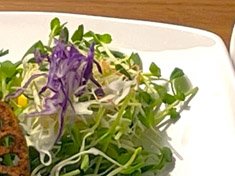 豆苗の塩麴サラダ