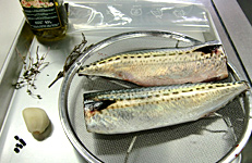 材料