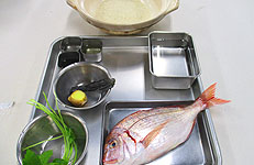 材料
