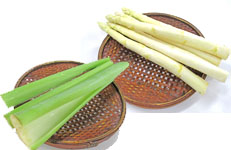 材料