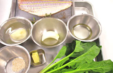 材料