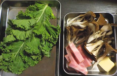 材料
