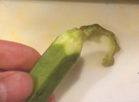 手順2