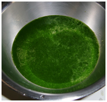 茹でたほうれん草をミキサーにかけた画像
