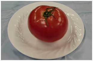トマトの画像