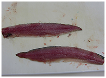 秋刀魚を三枚におろす画像