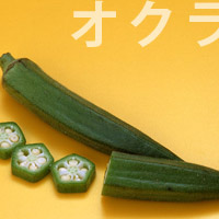 オクラの画像
