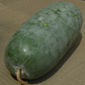 冬瓜の画像